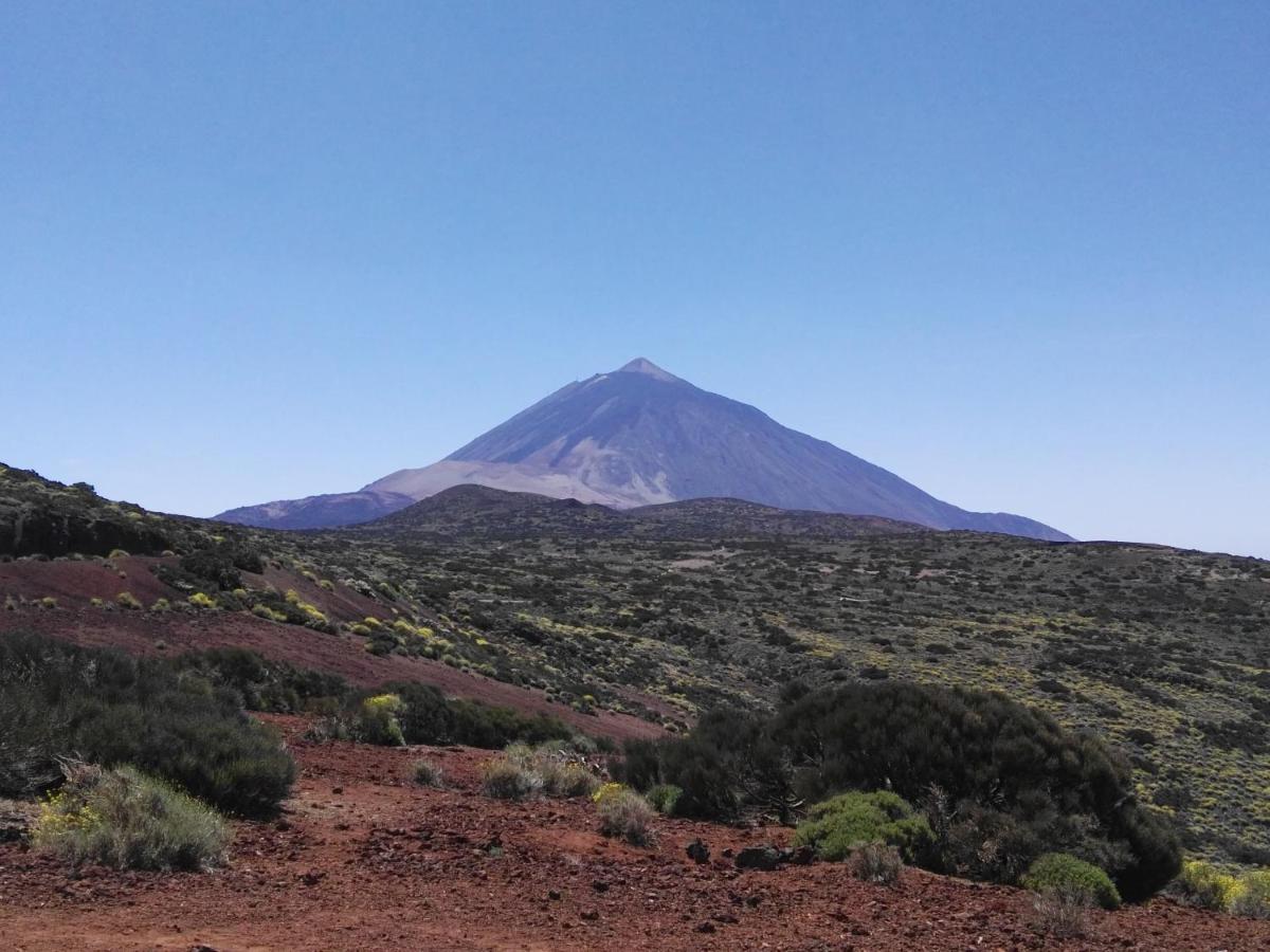 Los Diamantes Komfort Los Cristianos  Exterior photo